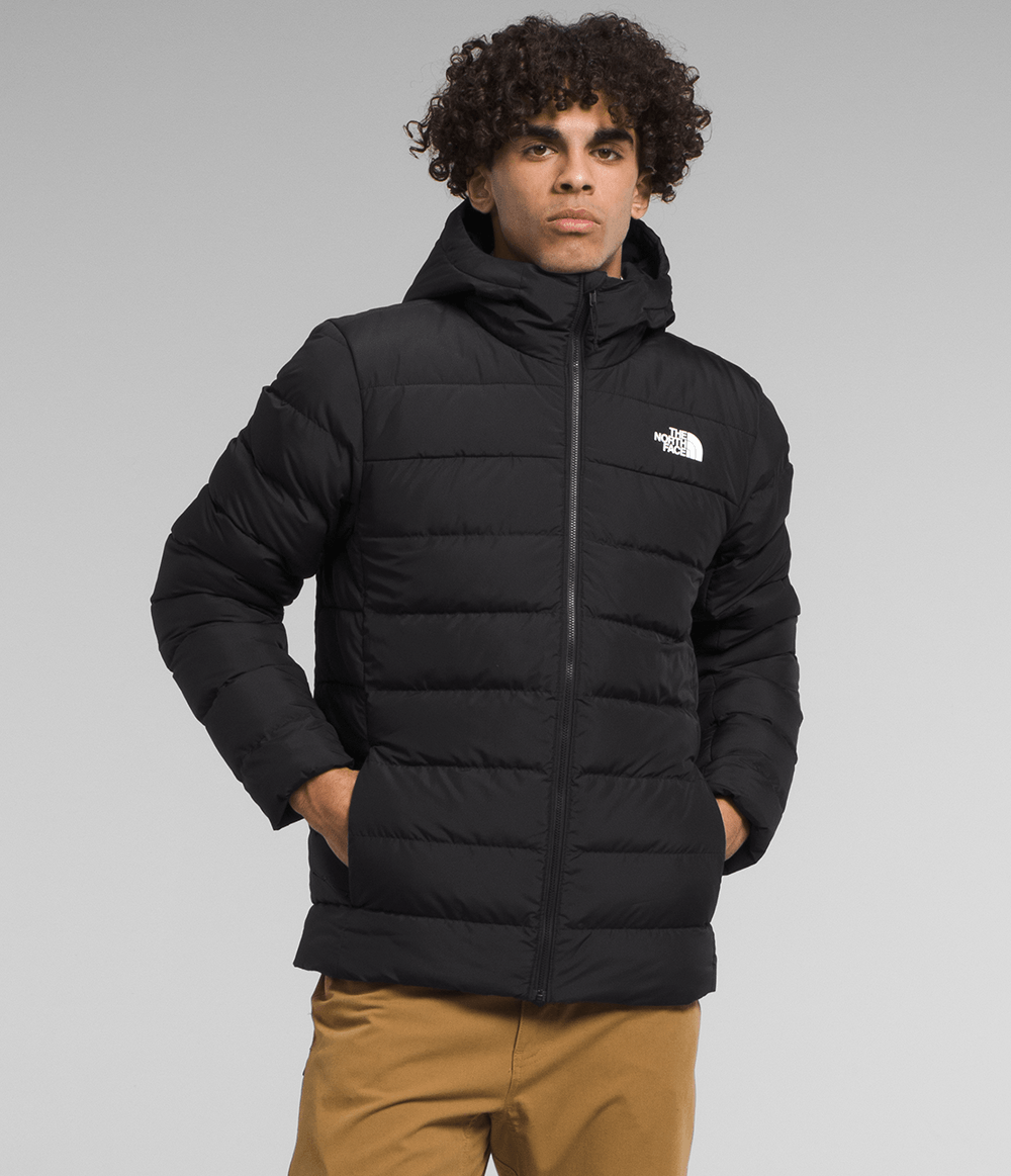 Jaqueta the north face masculina shops