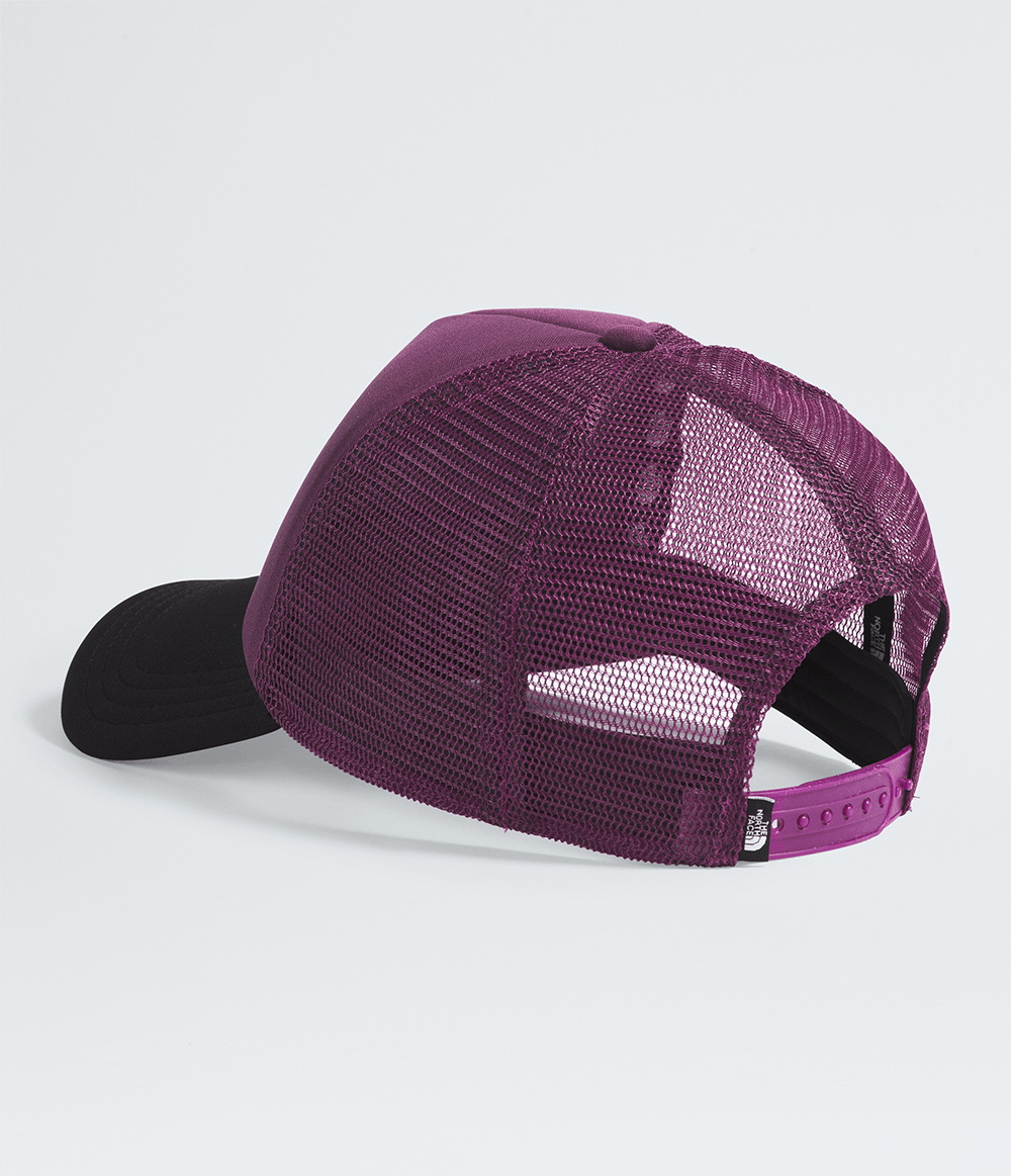 Boné TNF Logo Trucker Black Currant Purple | The North Face