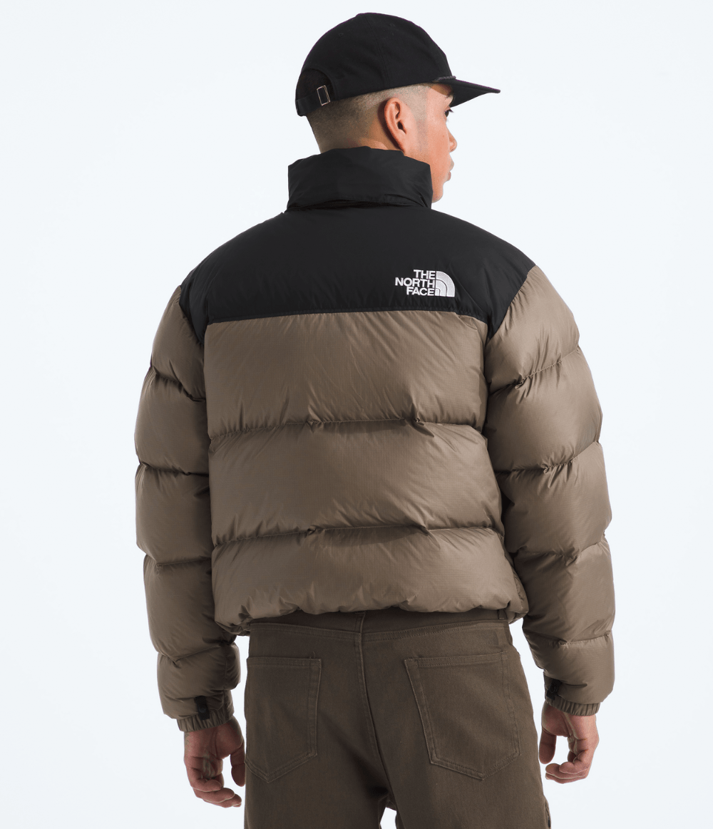Jaquetas Masculinas | The North Face